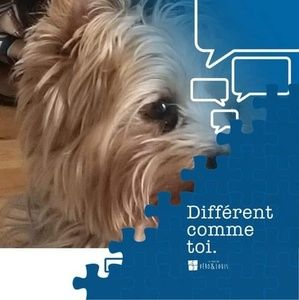 Meet your Posher, Jjennifer